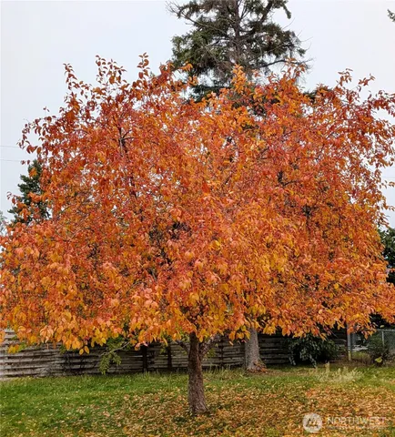 a view of lake with houses