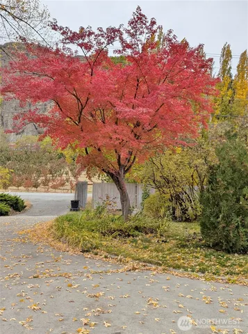 a view of hallway with window and wooden floor