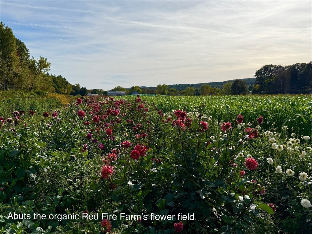 132 Meadow Road Montague, MA 01351 - Photo 42 of 42