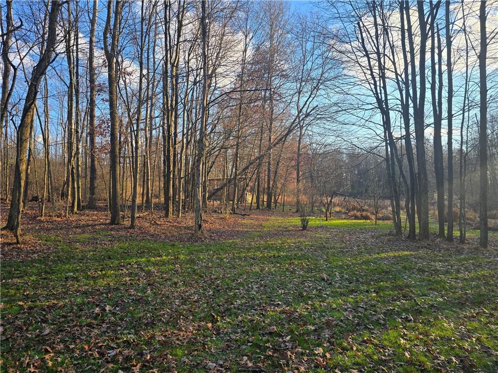 176 Kay Road Harrisville, PA 16038 - Photo 18 of 24 a view of a garden with trees
