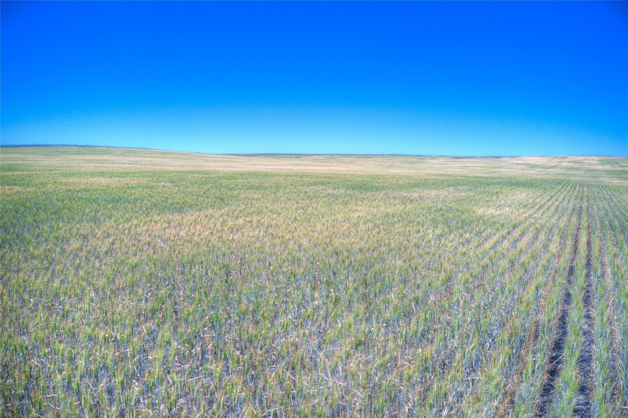 154 Wheatland Road Three Forks, MT 59752 - Photo 10 of 15 Gallery Image 10