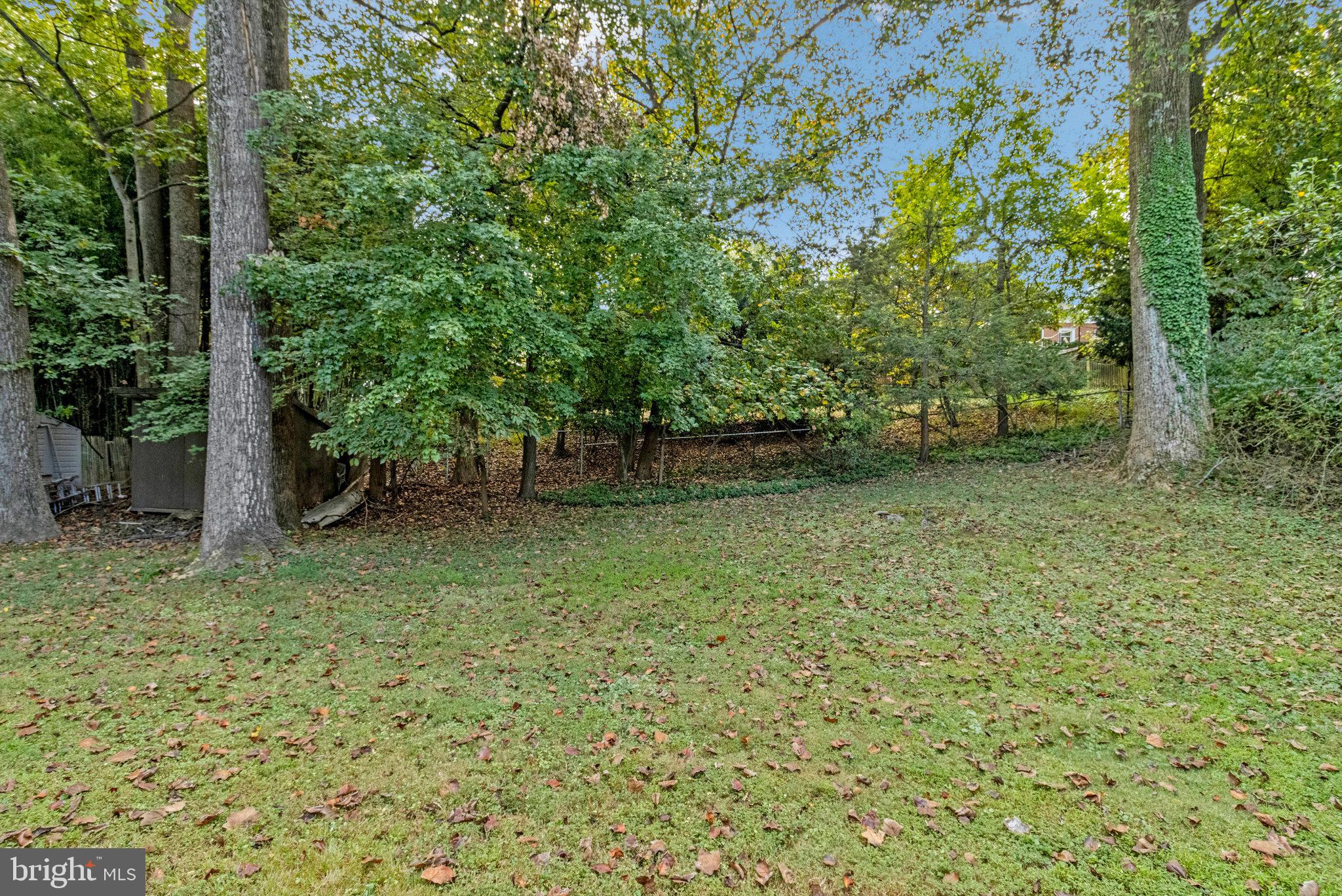 702 Lamberton Drive Silver Spring, MD 20902 - Photo 17 of 17 a backyard of a house with lots of green space