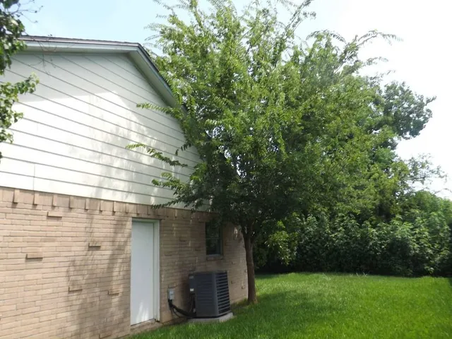 a view of backyard with plants and large tree