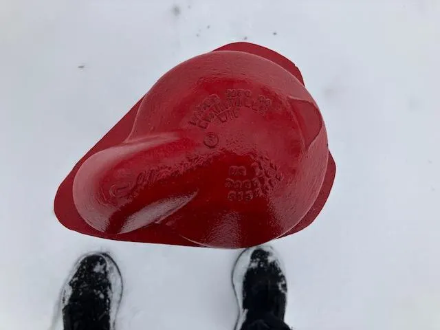 $249,500 | 42156 120th Street, Waseca, MN 56093