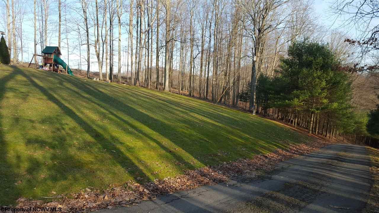 1144 Cherry Run Road Grafton, WV 26354 - Photo 15 of 20 Gallery Image 15