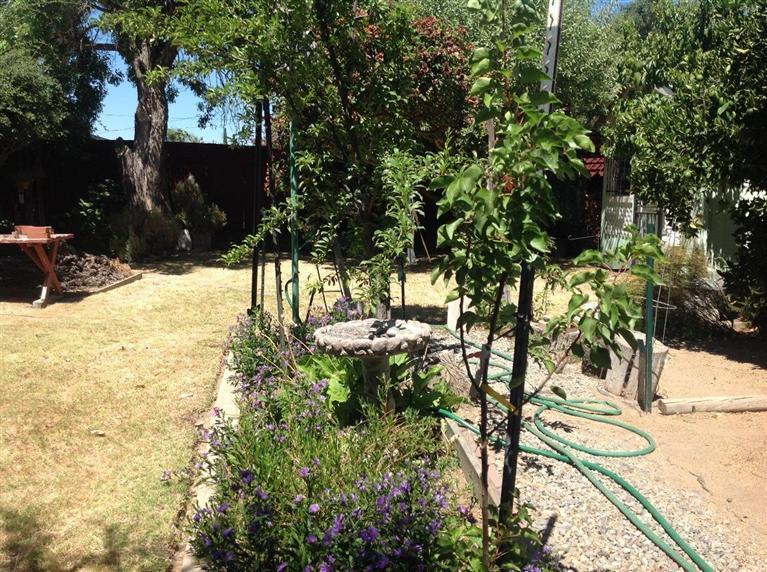 27411 Saunders Road Madera, CA 93637 - Photo 28 of 49 Gallery Image 28