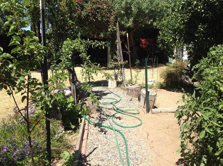27411 Saunders Road Madera, CA 93637 - Photo 29 of 49 Gallery Image 29