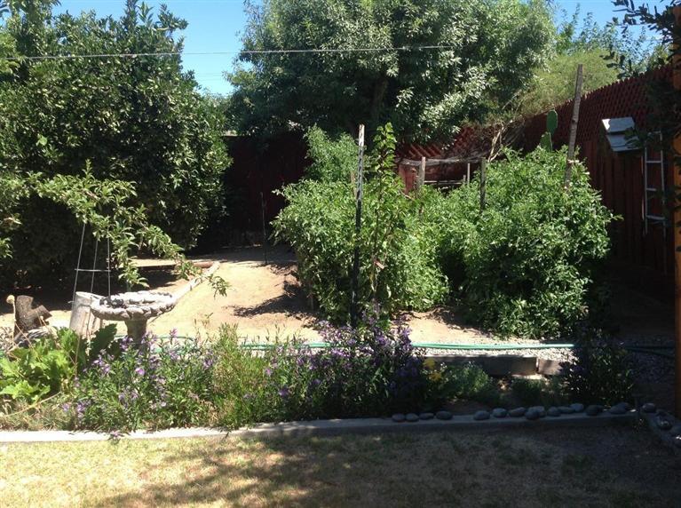 27411 Saunders Road Madera, CA 93637 - Photo 33 of 49 Gallery Image 33