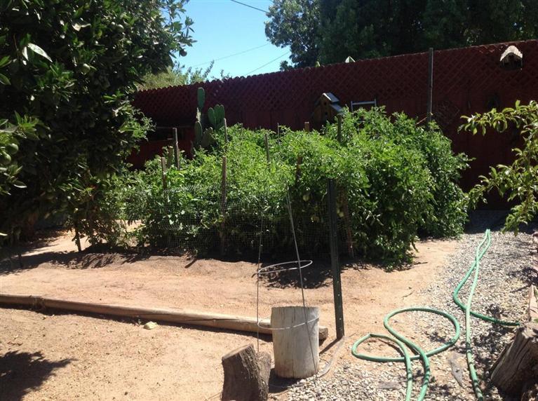 27411 Saunders Road Madera, CA 93637 - Photo 34 of 49 Gallery Image 34