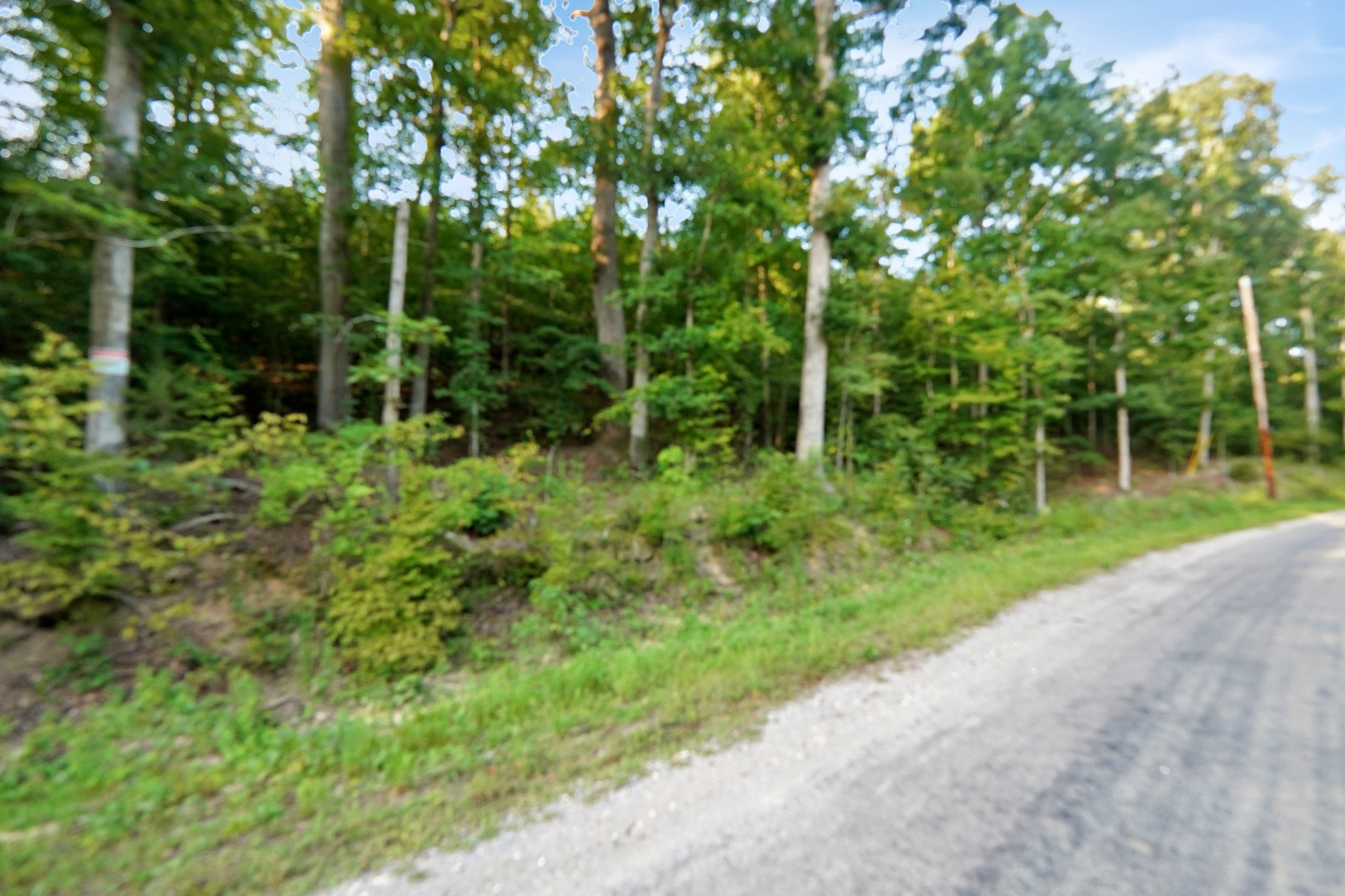 4 Cox Hollow Road Dover, TN 37058 - Photo 12 of 16 Gallery Image 12