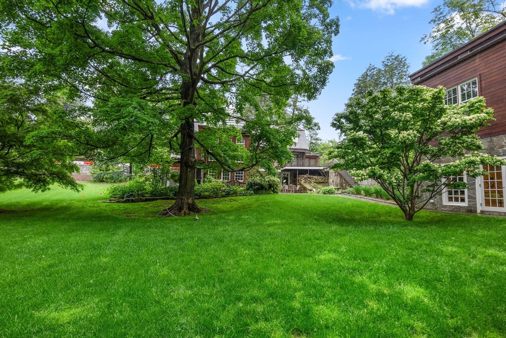 244 Heath Street Brookline, MA 02467 - Photo 34 of 36 a view of a garden with a tree