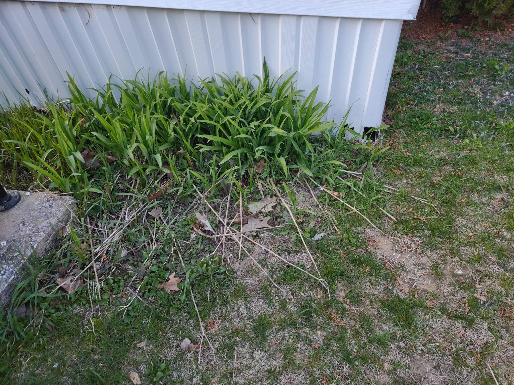 118 Hemlock Road St. George, VT 05495 - Photo 34 of 35