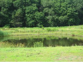 30195 Tyler Road Walkerton, IN 46574 - Photo 11 of 24