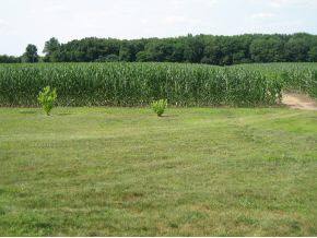 30195 Tyler Road Walkerton, IN 46574 - Photo 12 of 24