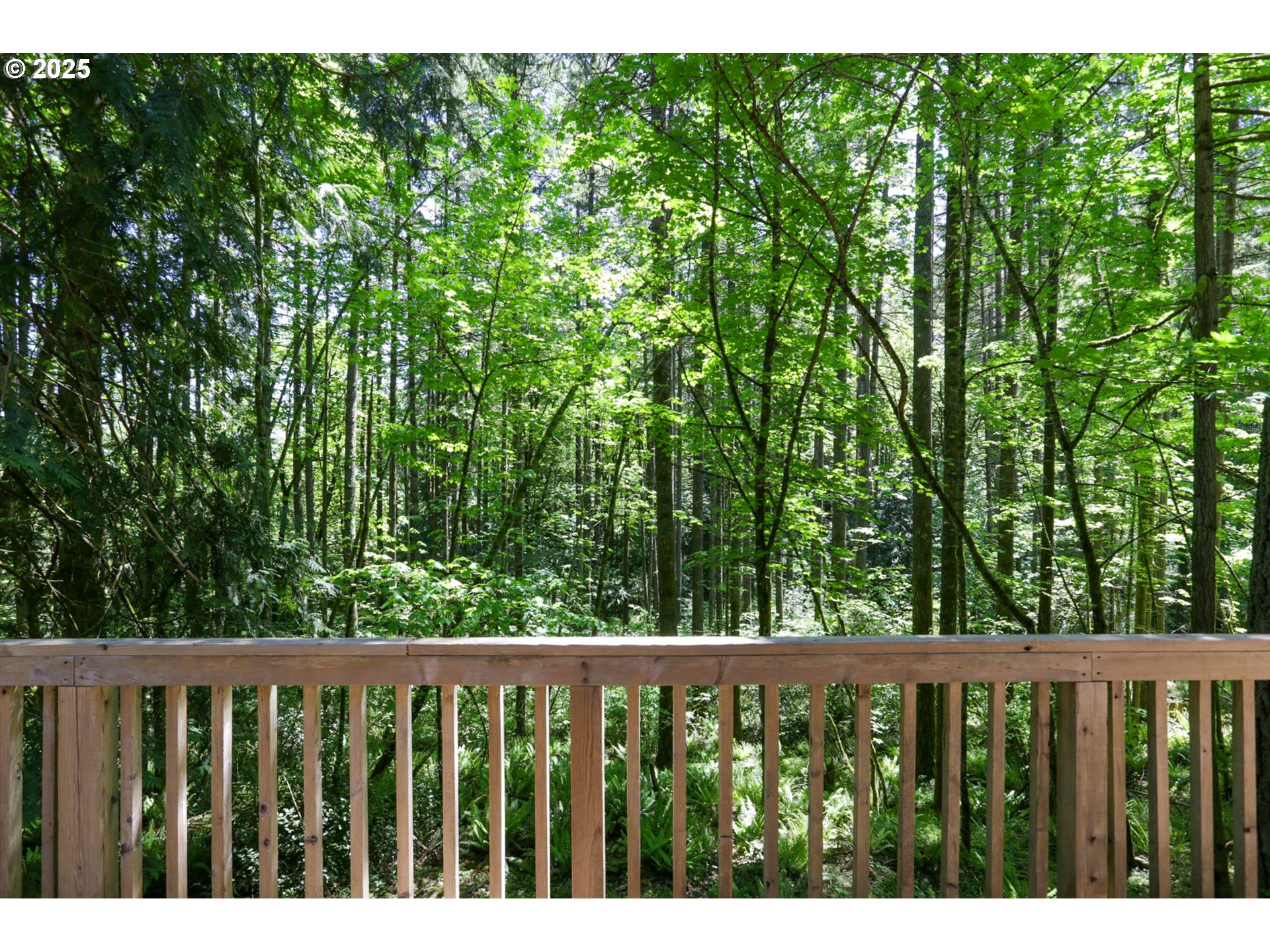 18020 Southwest Neugebauer Road Hillsboro, OR 97123 - Photo 5 of 45 Gallery Image 5