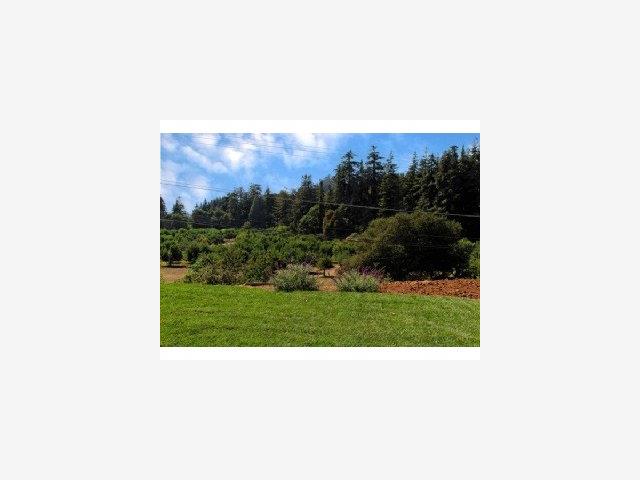 2765 Valencia Road Aptos, CA 95003 - Photo 9 of 9