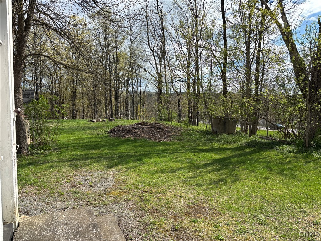 7310 Trenton Road Trenton, NY 13304 - Photo 12 of 30