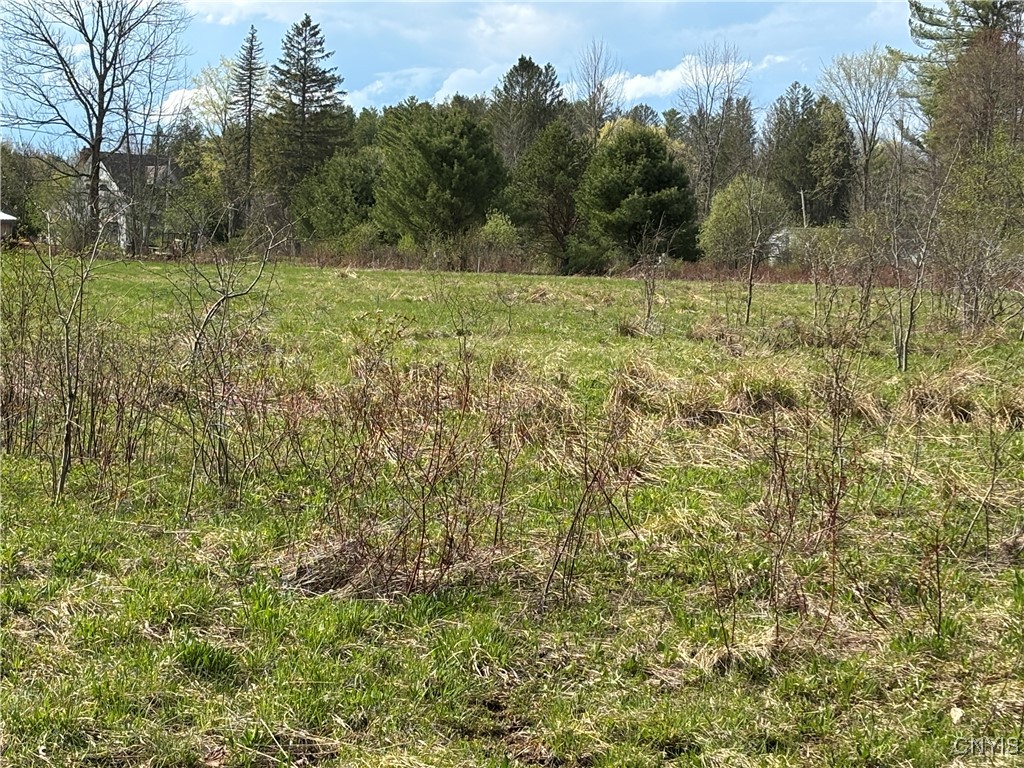 7310 Trenton Road Trenton, NY 13304 - Photo 9 of 30