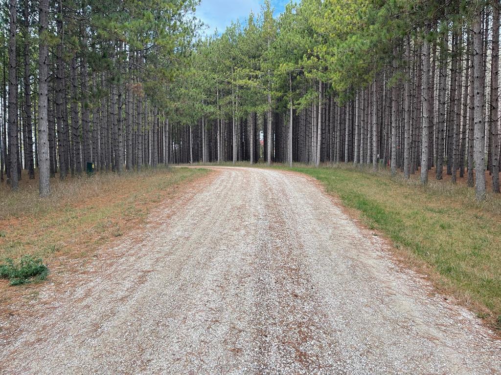 Jack Pine Road Baileys Harbor, WI 54202 - Photo 1 of 4