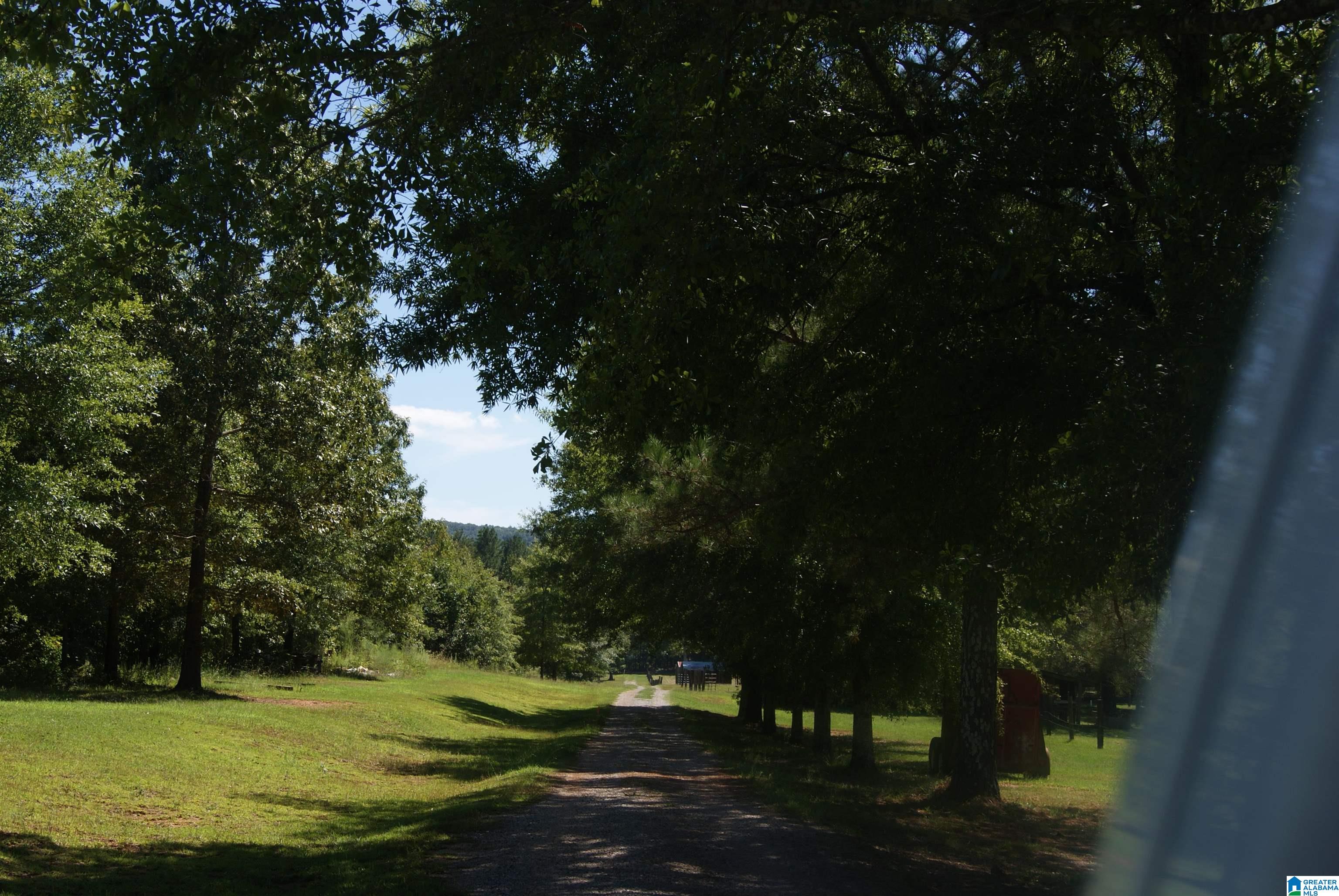 0 Eagle Bald Road Jacksonville, AL 36265 - Photo 2 of 14 Gallery Image 2