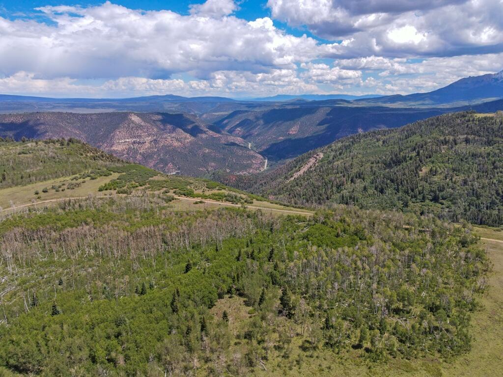 Tbd Laughing Dog Road Placerville, CO 81430 - Photo 3 of 8 a view of a yard with an ocean