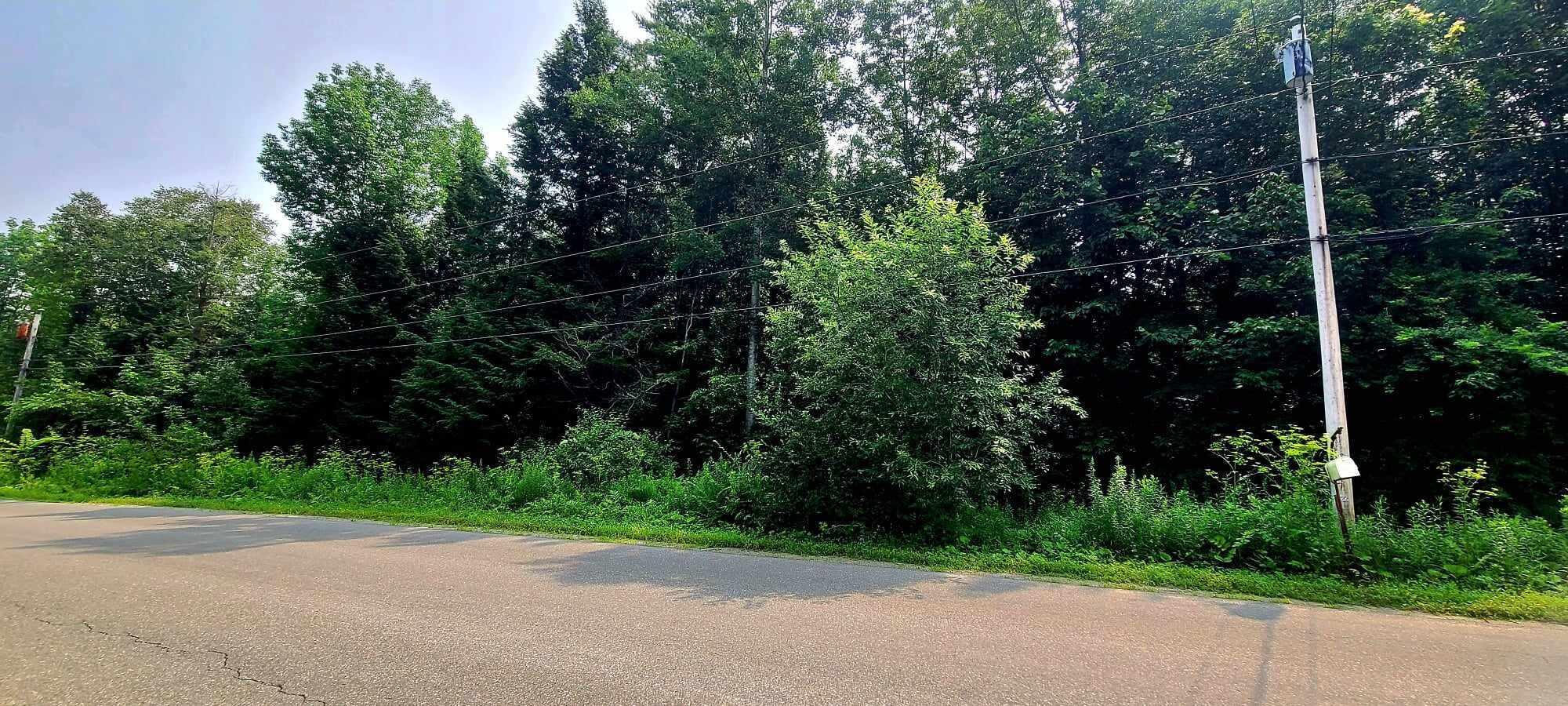 Lot 4 Tiffany Road Sidney, ME 04330 - Photo 6 of 6 356962496_590050259951656_54184399229738