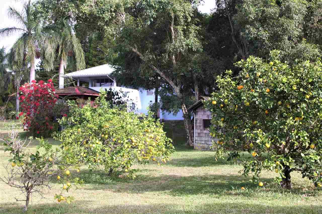 941 Hog Back Road Haiku, HI 96708 - Photo 13 of 18 a front view of a house with a yard