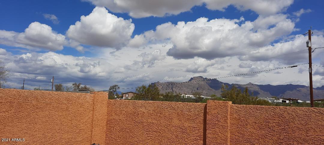 2821 South Conestoga Road Apache Junction, AZ 85119 - Photo 29 of 36 Laura Pic 3