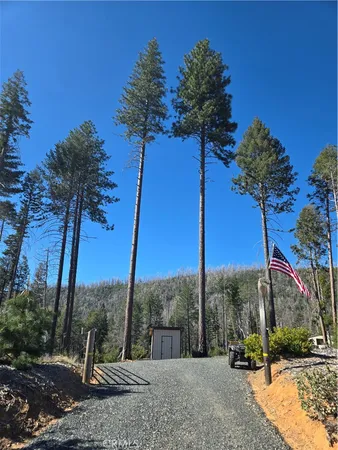 a view of a backyard of the house