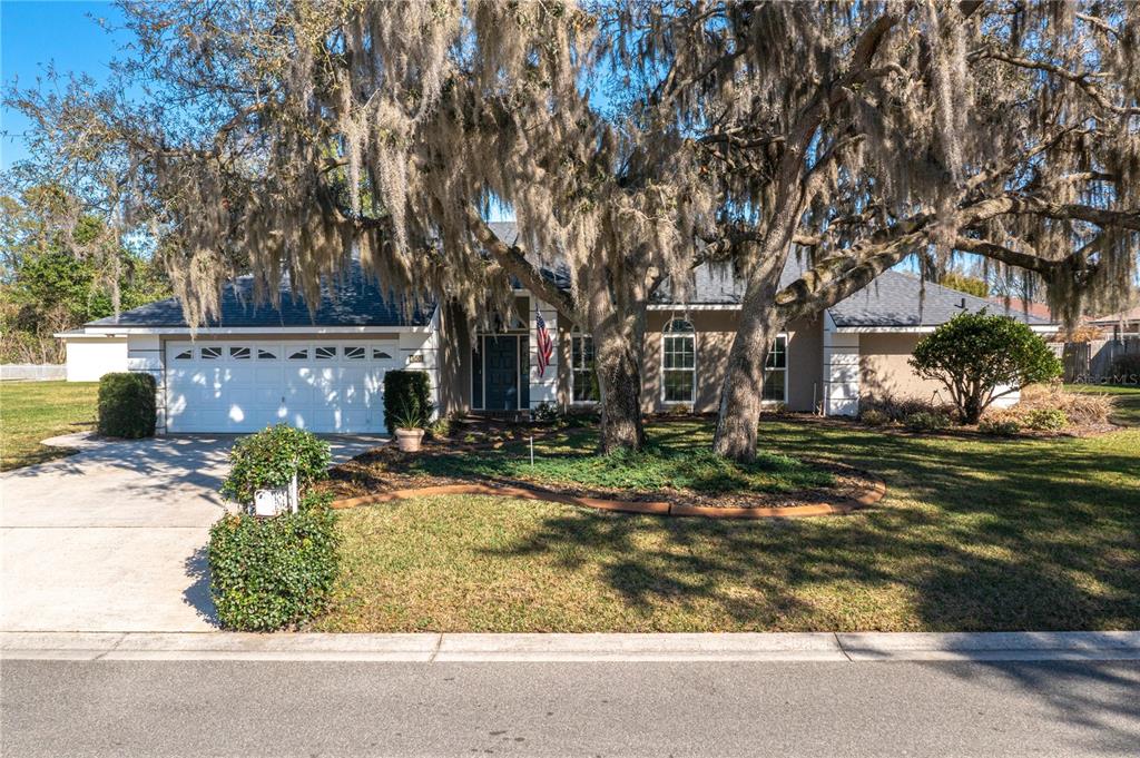 4504 Riviera Drive Southeast Winter Haven, FL 33884 - Photo 1 of 1 a view of a house with large trees and a big yard