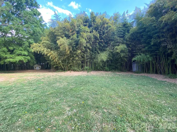 a view of a yard with a tree