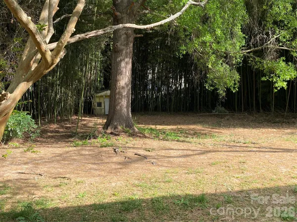 a view of a yard with a fountain