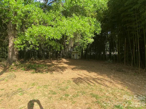 a view of backyard with green space