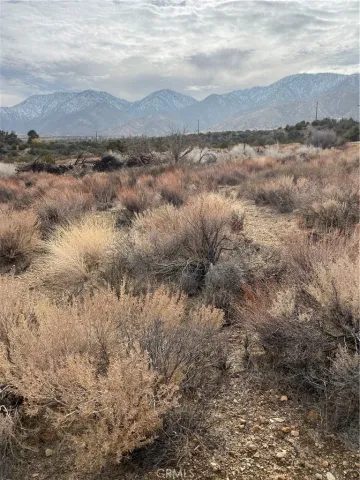 a view of a lake view of forest