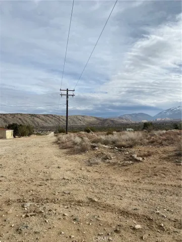a view of a dry yard