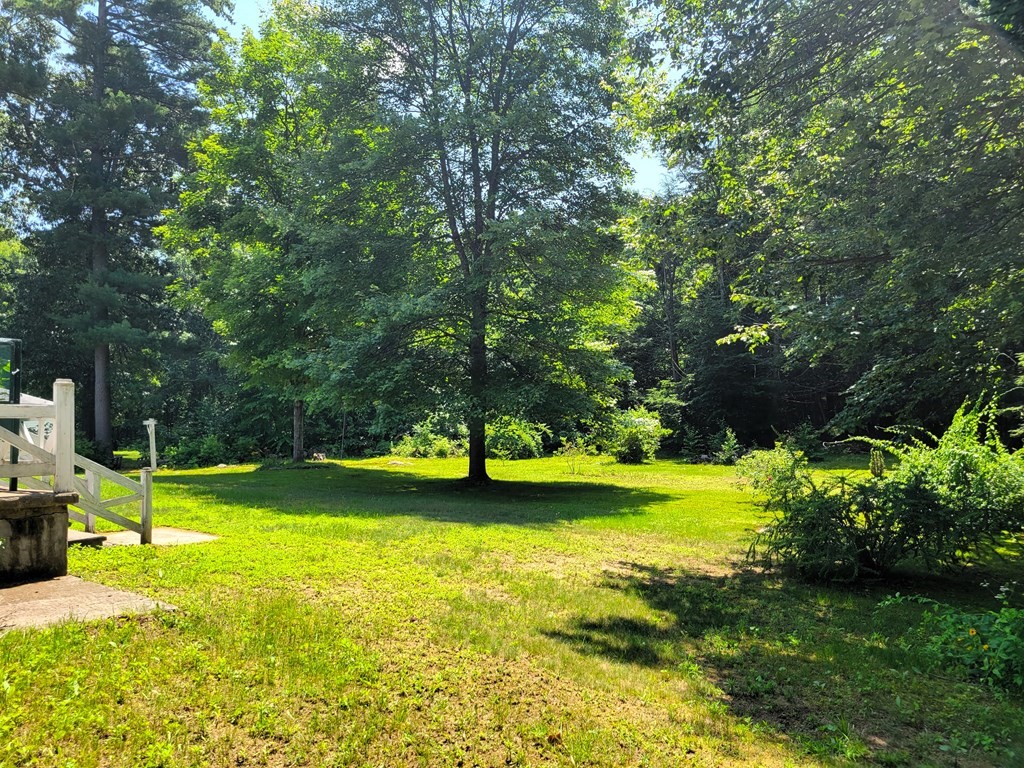 316 Burlingame Road Palmer, MA 01069 - Photo 2 of 31 a view of a swimming pool with lawn chairs and plants