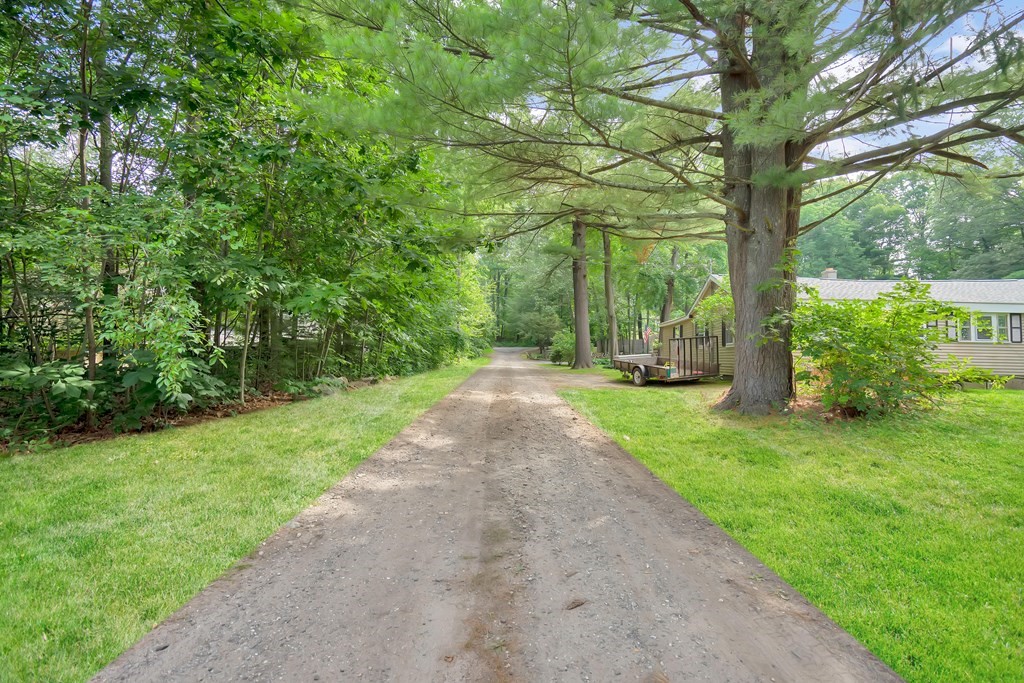 316 Burlingame Road Palmer, MA 01069 - Photo 31 of 31 a view of a yard with plants and large trees
