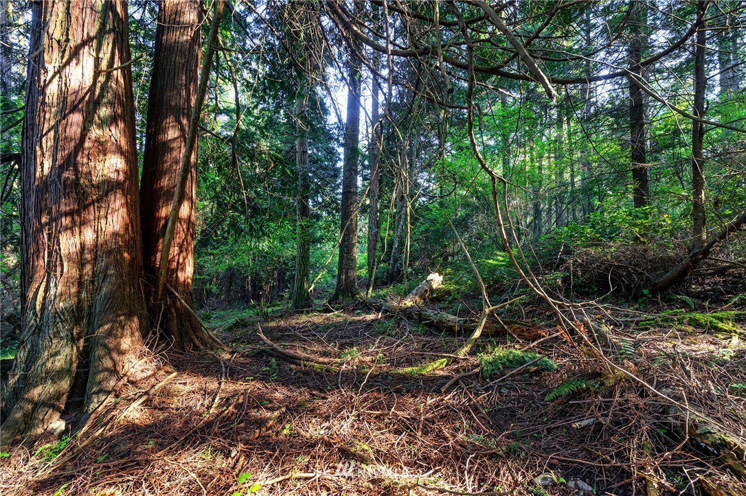 -xxxx Islandale Road Lopez Island, WA 98261 - Photo 1 of 8 Gallery Image 1