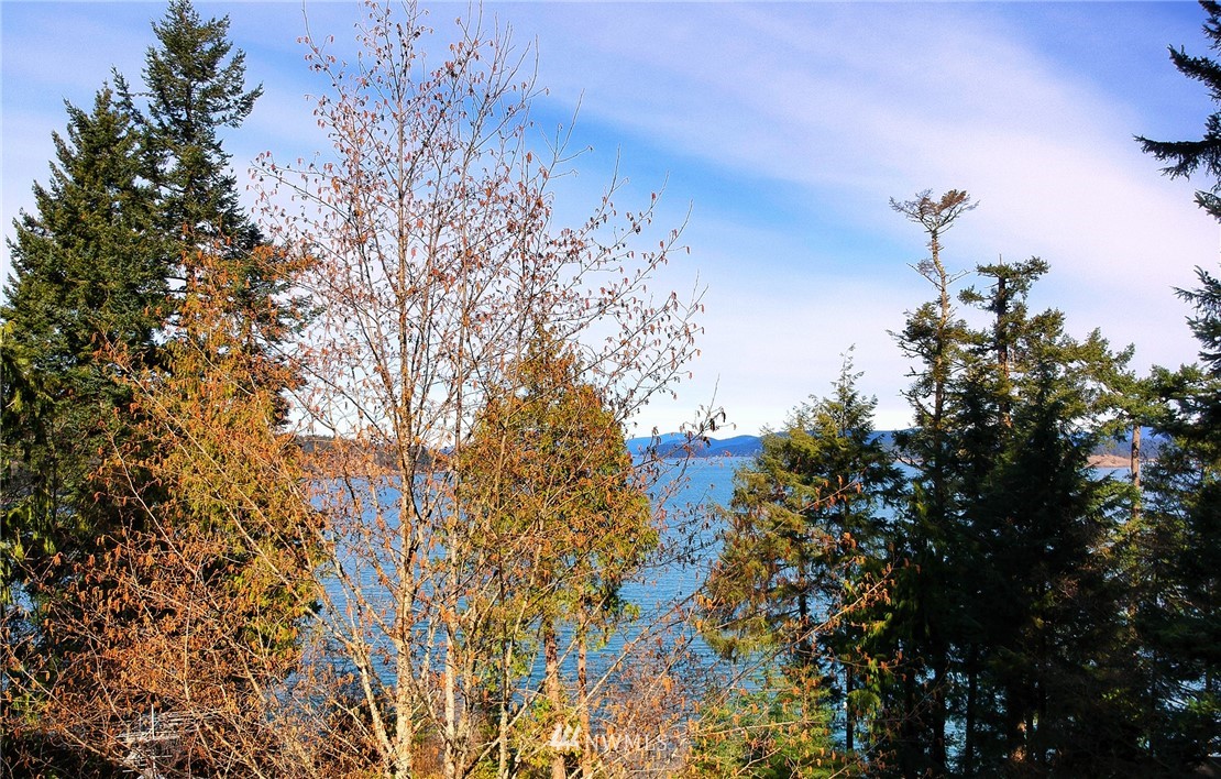-xxxx Islandale Road Lopez Island, WA 98261 - Photo 2 of 8 Gallery Image 2