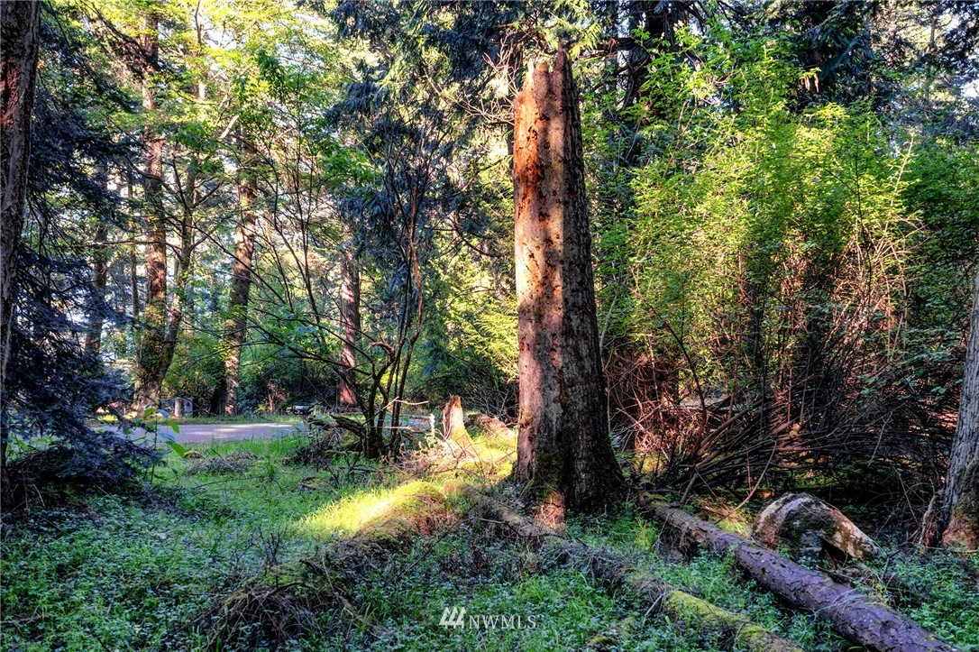 -xxxx Islandale Road Lopez Island, WA 98261 - Photo 3 of 8 Gallery Image 3