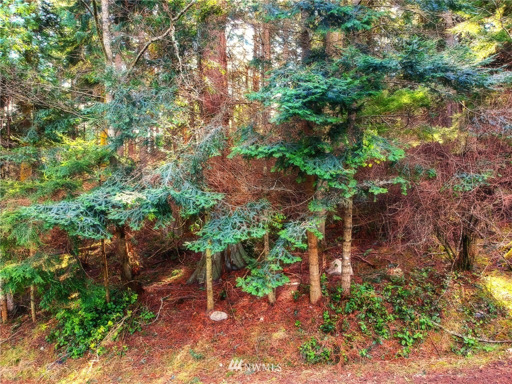 -xxxx Islandale Road Lopez Island, WA 98261 - Photo 4 of 8 Gallery Image 4