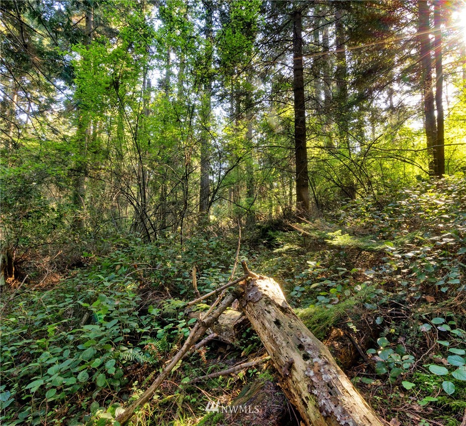-xxxx Islandale Road Lopez Island, WA 98261 - Photo 5 of 8 Gallery Image 5