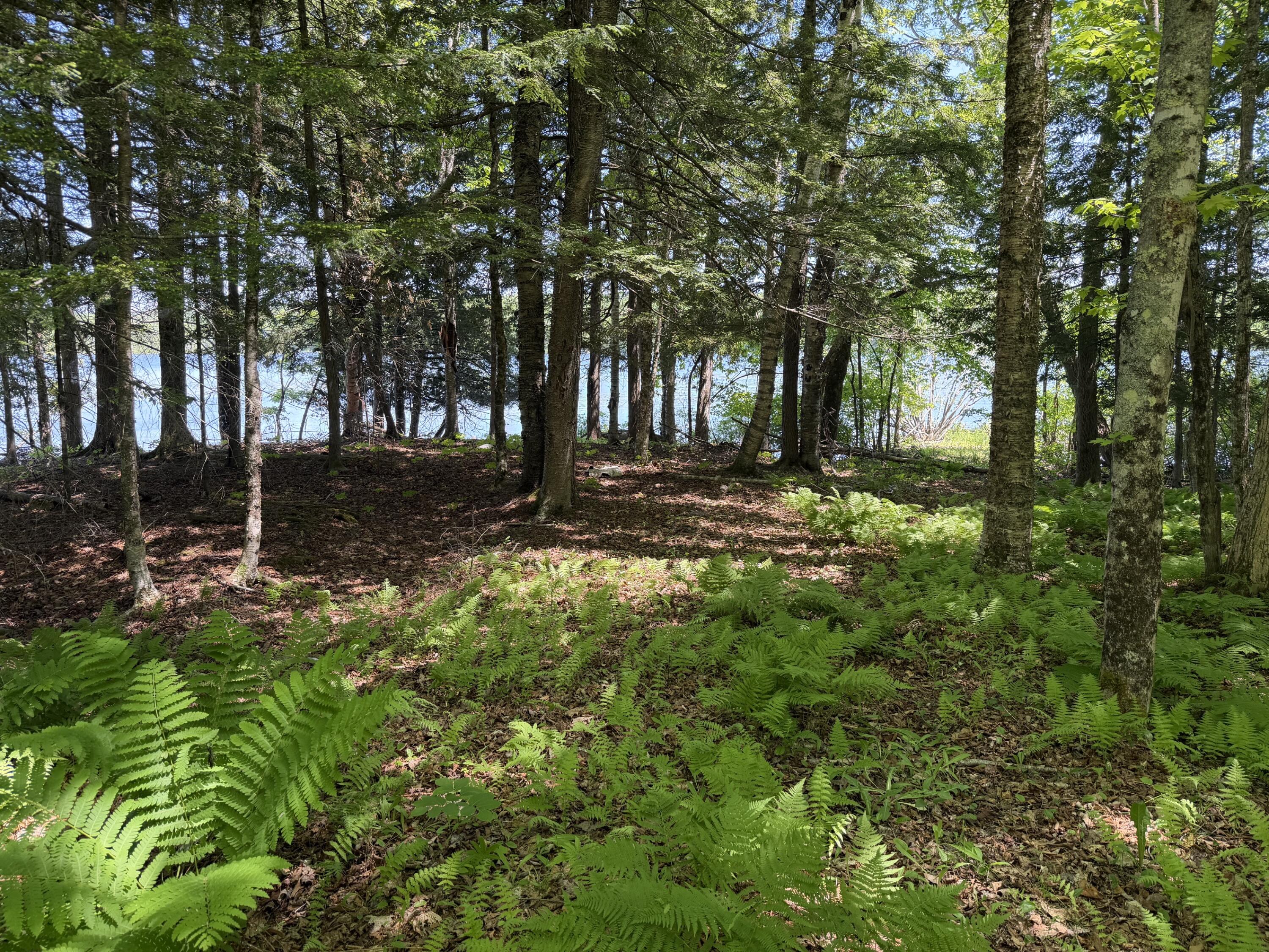 21 Map Lane Dexter, ME 04930 - Photo 2 of 12 2