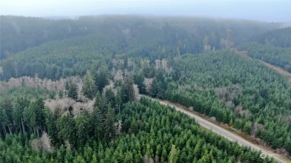 a view of a lush green field