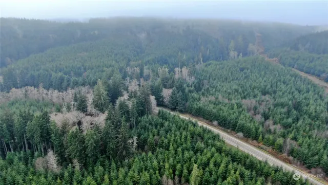 a view of a lush green field