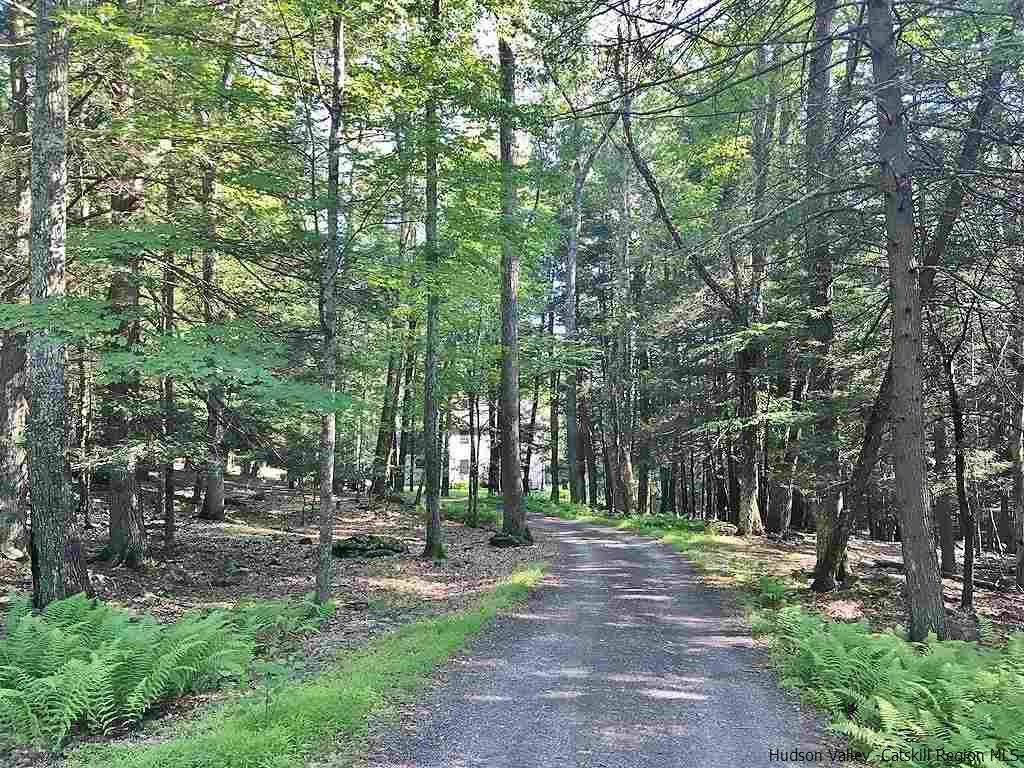 145 Beaverkill Road Kingston, NY 12401 - Photo 24 of 28 a view of park