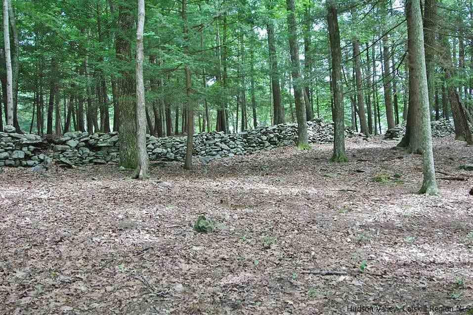145 Beaverkill Road Kingston, NY 12401 - Photo 26 of 28 a backyard of a house with lots of green space