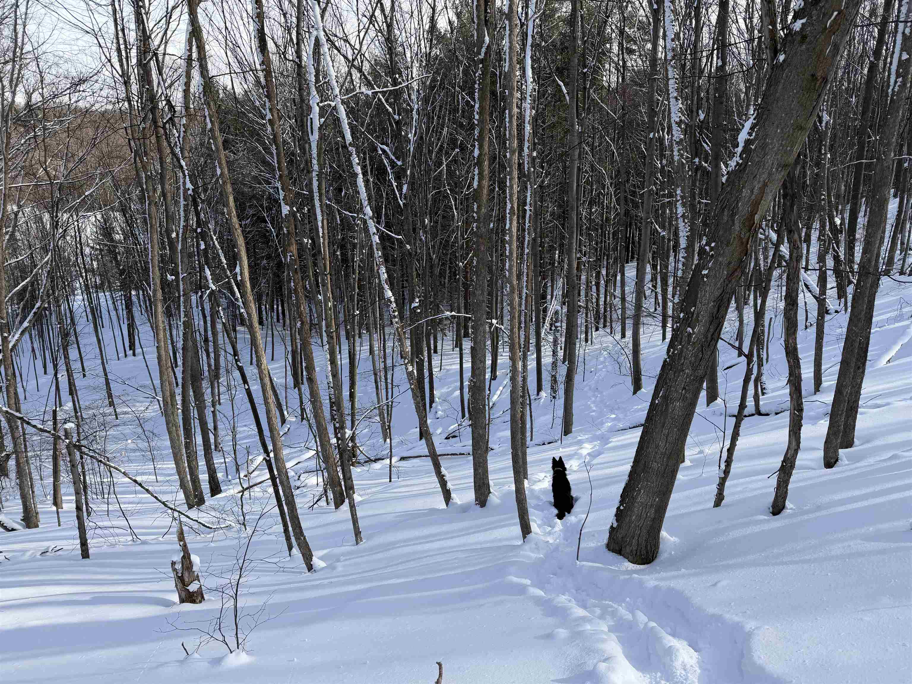 North Christianson Road Northport, MI 49670 - Photo 13 of 15