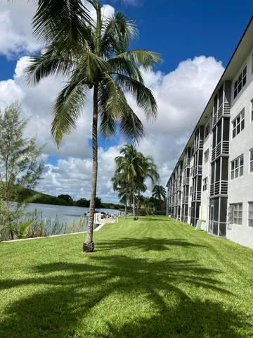 a view of a park with a palm tree