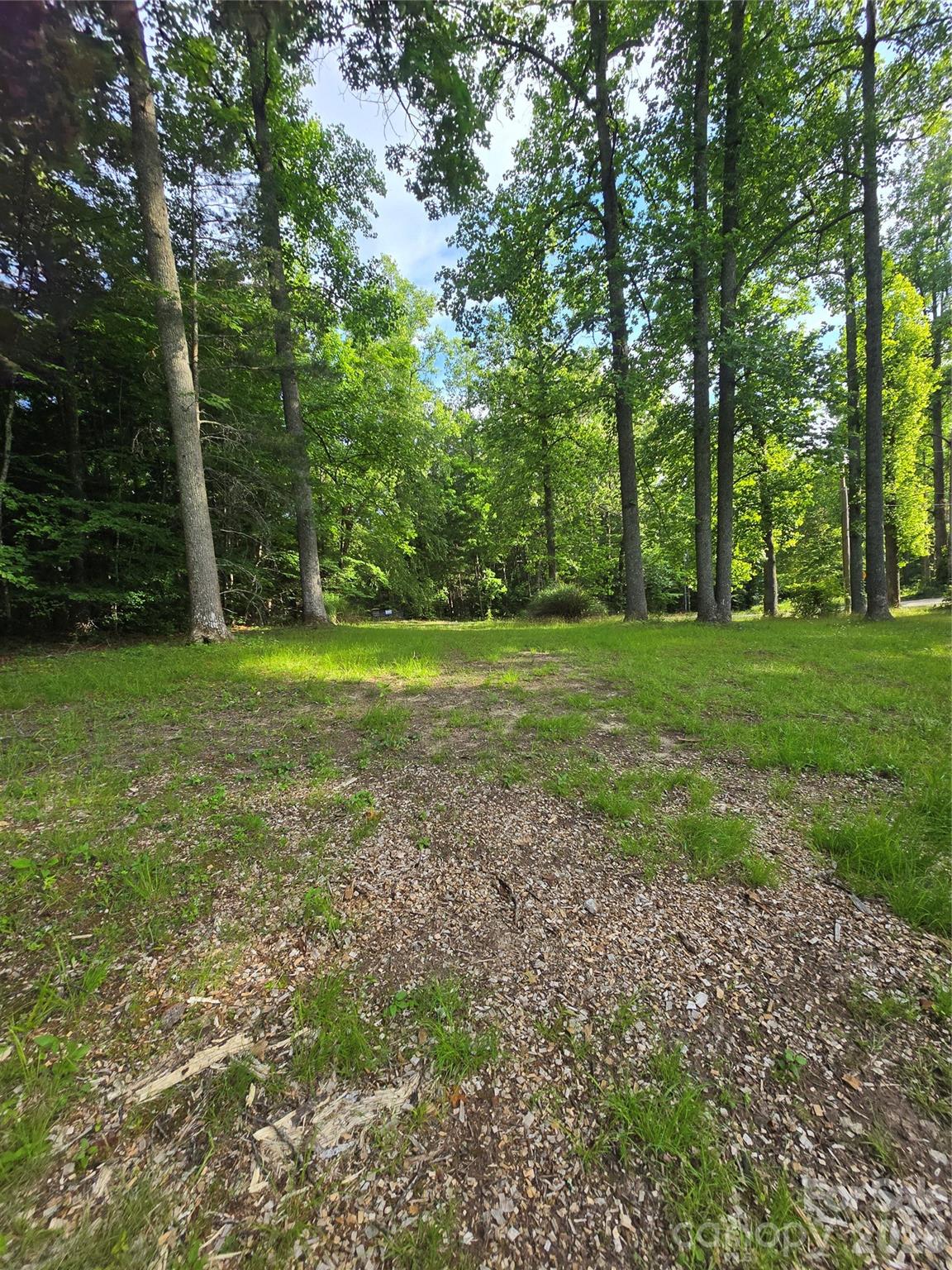 1480 Davis Mountain Road Hendersonville, NC 28739 - Photo 19 of 37